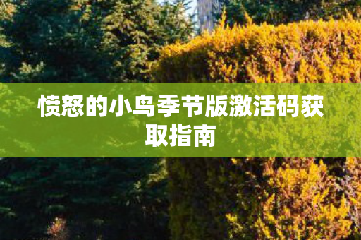 愤怒的小鸟季节版激活码获取指南