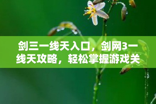 剑三一线天入口，剑网3一线天攻略，轻松掌握游戏关键