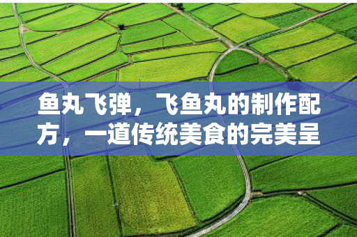 鱼丸飞弹，飞鱼丸的制作配方，一道传统美食的完美呈现