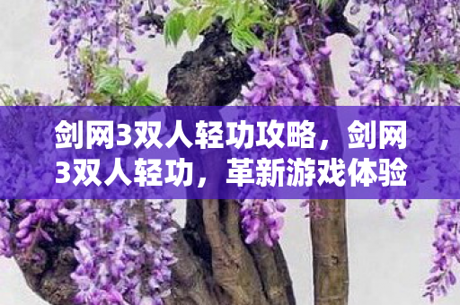 剑网3双人轻功攻略，剑网3双人轻功，革新游戏体验的绝佳合作机制