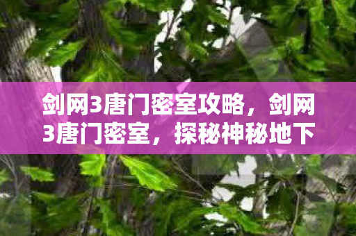 剑网3唐门密室攻略，剑网3唐门密室，探秘神秘地下宫殿