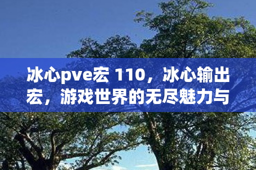 冰心pve宏 110，冰心输出宏，游戏世界的无尽魅力与挑战