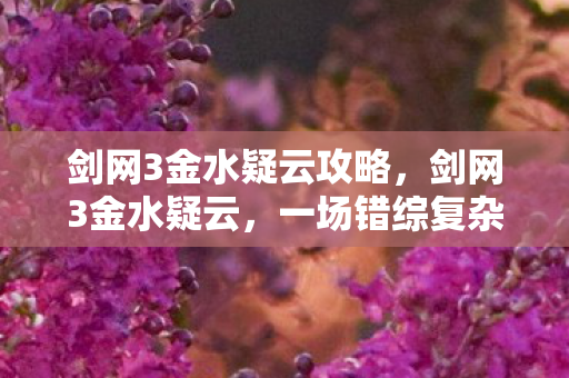 剑网3金水疑云攻略，剑网3金水疑云，一场错综复杂的江湖迷案