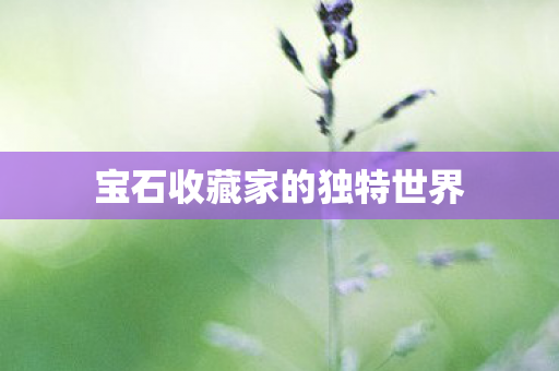 宝石收藏家的独特世界