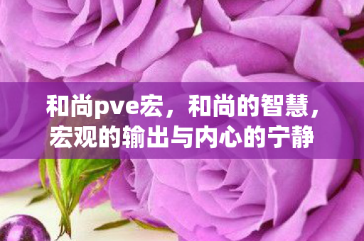 和尚pve宏，和尚的智慧，宏观的输出与内心的宁静