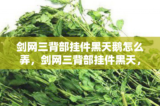 剑网三背部挂件黑天鹅怎么弄，剑网三背部挂件黑天，神秘力量的象征