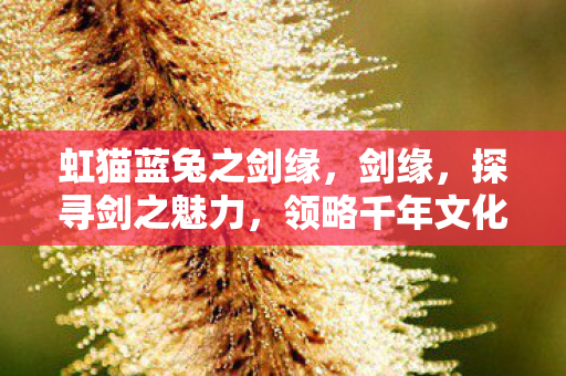 虹猫蓝兔之剑缘，剑缘，探寻剑之魅力，领略千年文化传承