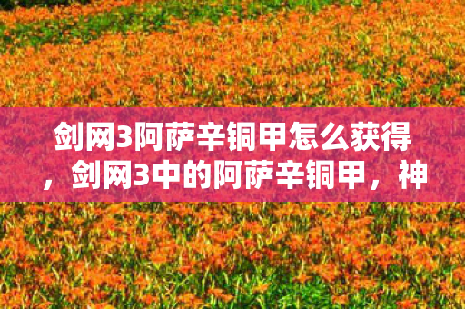剑网3阿萨辛铜甲怎么获得，剑网3中的阿萨辛铜甲，神秘装备的背后故事