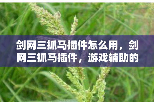 剑网三抓马插件怎么用，剑网三抓马插件，游戏辅助的新选择
