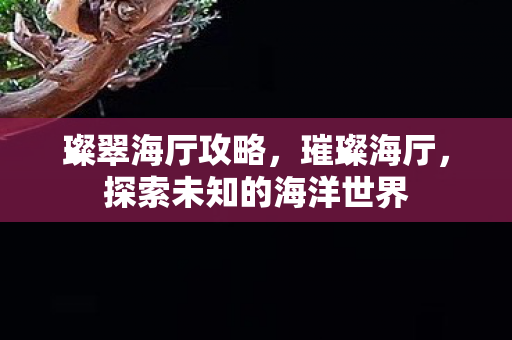 璨翠海厅攻略，璀璨海厅，探索未知的海洋世界