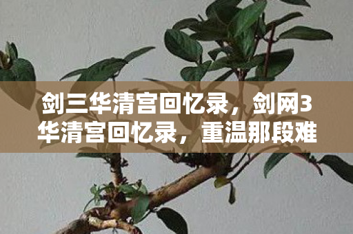 剑三华清宫回忆录，剑网3华清宫回忆录，重温那段难忘的江湖岁月