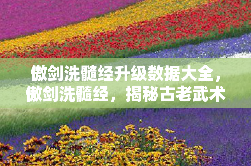 傲剑洗髓经升级数据大全，傲剑洗髓经，揭秘古老武术秘籍的神奇数据