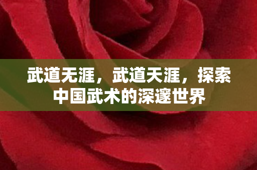 武道无涯，武道天涯，探索中国武术的深邃世界