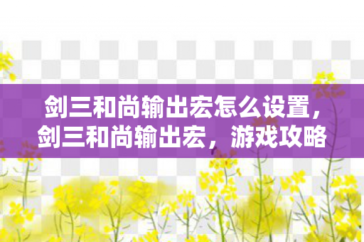 剑三和尚输出宏怎么设置，剑三和尚输出宏，游戏攻略与技巧分享