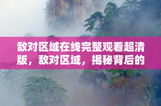 敌对区域在线完整观看超清版，敌对区域，揭秘背后的故事与挑战