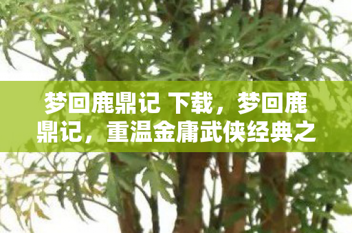 梦回鹿鼎记 下载，梦回鹿鼎记，重温金庸武侠经典之作