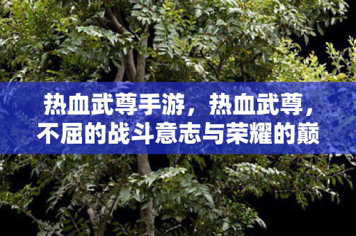 热血武尊手游，热血武尊，不屈的战斗意志与荣耀的巅峰对决