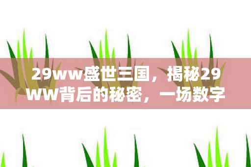 29ww盛世三国，揭秘29WW背后的秘密，一场数字世界的奇幻之旅