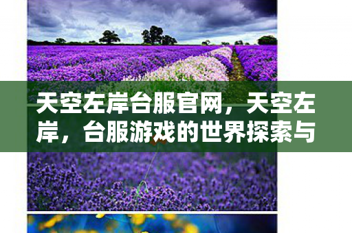 天空左岸台服官网，天空左岸，台服游戏的世界探索与体验