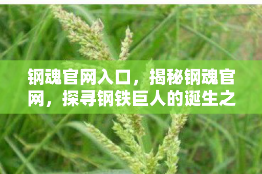 钢魂官网入口，揭秘钢魂官网，探寻钢铁巨人的诞生之地