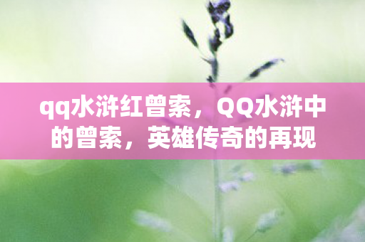 qq水浒红曾索，QQ水浒中的曾索，英雄传奇的再现