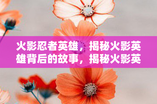 火影忍者英雄，揭秘火影英雄背后的故事，揭秘火影英雄背后的秘密与成长历程