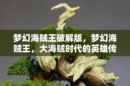 梦幻海贼王破解版，梦幻海贼王，大海贼时代的英雄传奇