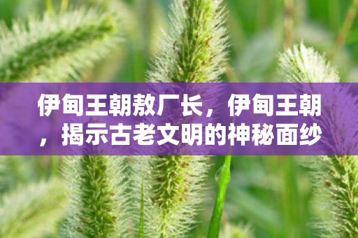 伊甸王朝敖厂长，伊甸王朝，揭示古老文明的神秘面纱