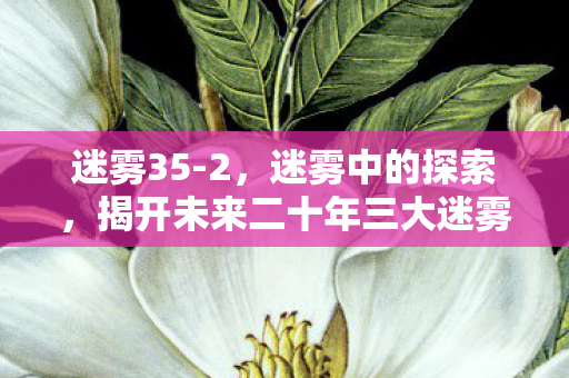 迷雾35-2，迷雾中的探索，揭开未来二十年三大迷雾的真相