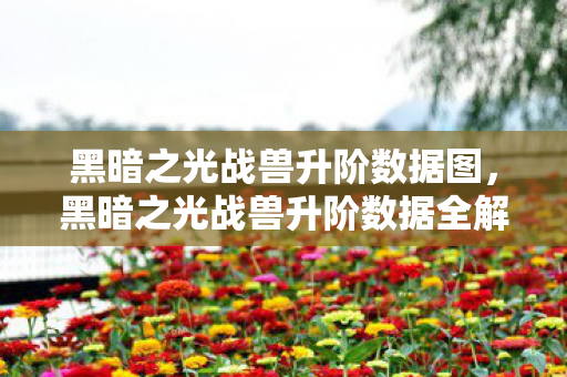 黑暗之光战兽升阶数据图，黑暗之光战兽升阶数据全解析