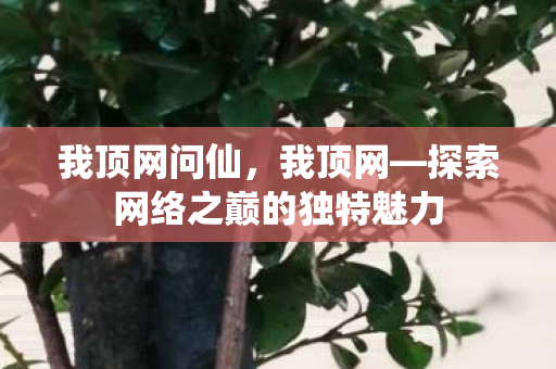 我顶网问仙，我顶网—探索网络之巅的独特魅力