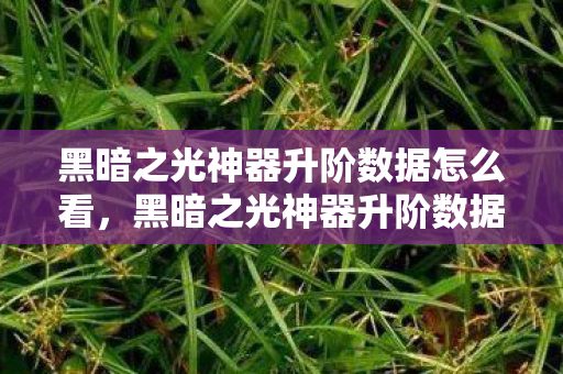 黑暗之光神器升阶数据怎么看，黑暗之光神器升阶数据解析