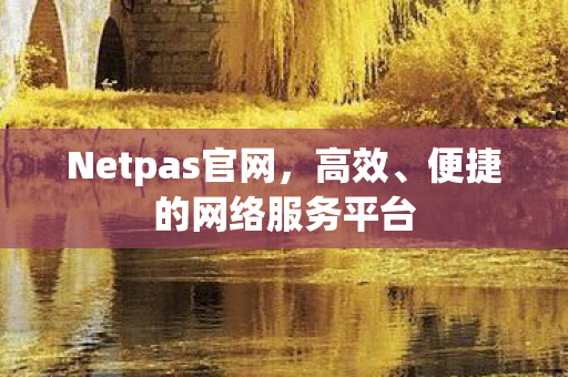 Netpas官网，高效、便捷的网络服务平台