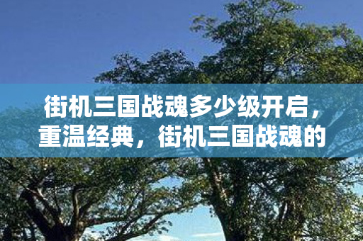 街机三国战魂多少级开启，重温经典，街机三国战魂的魅力