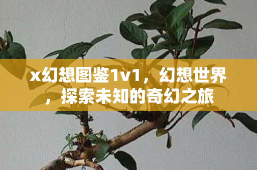 x幻想图鉴1v1，幻想世界，探索未知的奇幻之旅