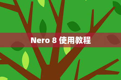 Nero 8 使用教程