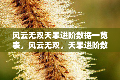 风云无双天罪进阶数据一览表，风云无双，天罪进阶数据全解析