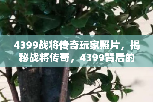 4399战将传奇玩家照片，揭秘战将传奇，4399背后的英雄世界