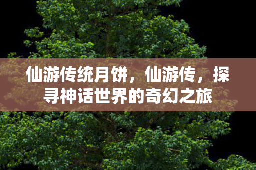仙游传统月饼，仙游传，探寻神话世界的奇幻之旅