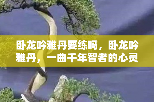 卧龙吟雅丹要练吗，卧龙吟雅丹，一曲千年智者的心灵独白