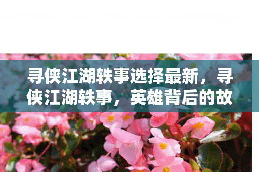 寻侠江湖轶事选择最新，寻侠江湖轶事，英雄背后的故事与江湖情怀