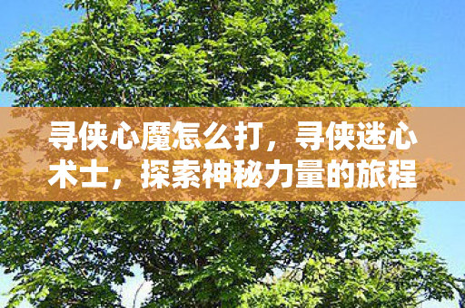 寻侠心魔怎么打，寻侠迷心术士，探索神秘力量的旅程