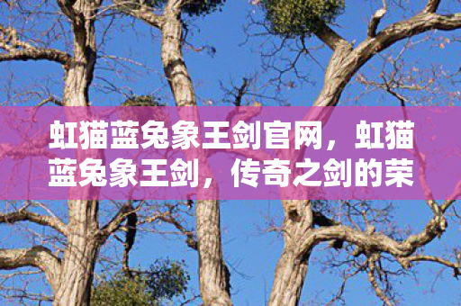 虹猫蓝兔象王剑官网，虹猫蓝兔象王剑，传奇之剑的荣耀与传奇故事