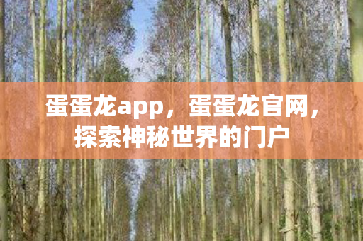蛋蛋龙app，蛋蛋龙官网，探索神秘世界的门户