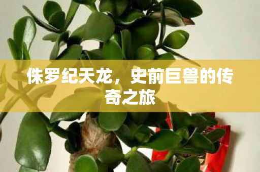 侏罗纪天龙，史前巨兽的传奇之旅