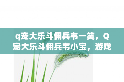 q宠大乐斗佣兵韦一笑，Q宠大乐斗佣兵韦小宝，游戏背后的故事与策略