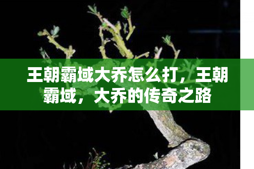 王朝霸域大乔怎么打，王朝霸域，大乔的传奇之路