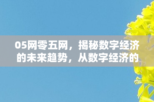 05网零五网，揭秘数字经济的未来趋势，从数字经济的角度看未来五年发展蓝图