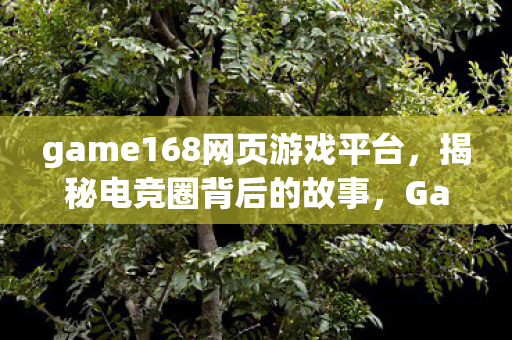 game168网页游戏平台，揭秘电竞圈背后的故事，Game168背后的传奇与奋斗