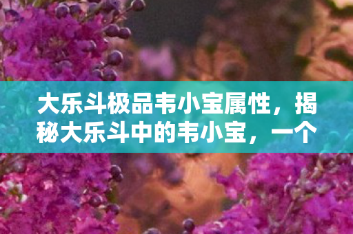大乐斗极品韦小宝属性，揭秘大乐斗中的韦小宝，一个游戏角色的魅力与传奇故事